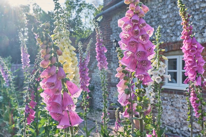 Choose the Right Location