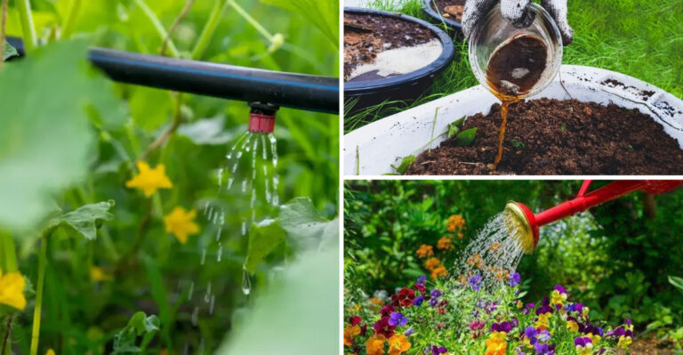 17 Tips for a Thriving Summer Garden
