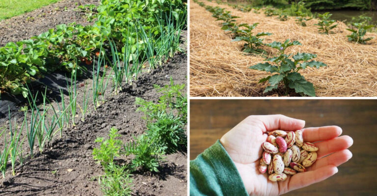 18 Frugal Gardening Tricks People Used During the Great Depression