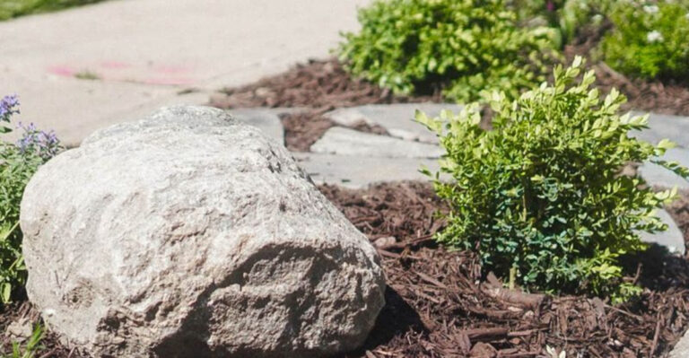 18 Tips for a Low-Maintenance Yard