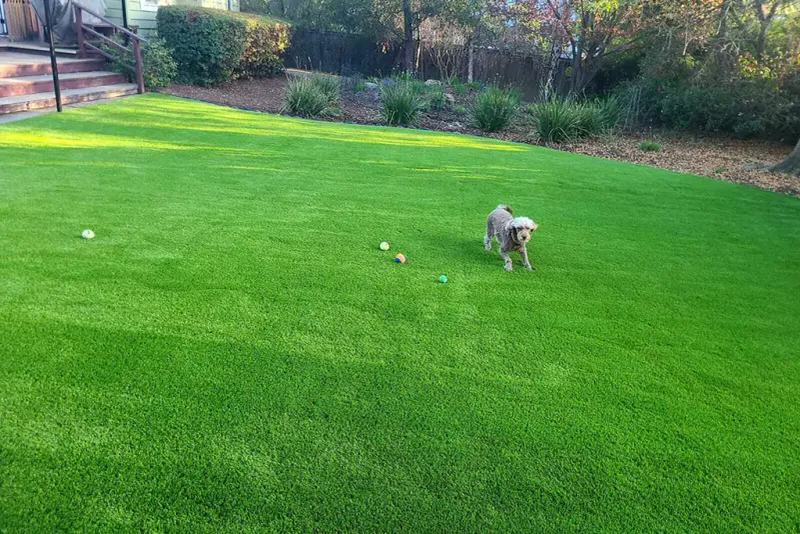 Artificial Grass
