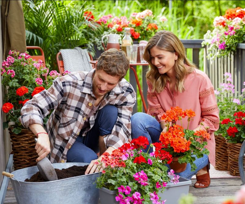 Choose the Right Soil