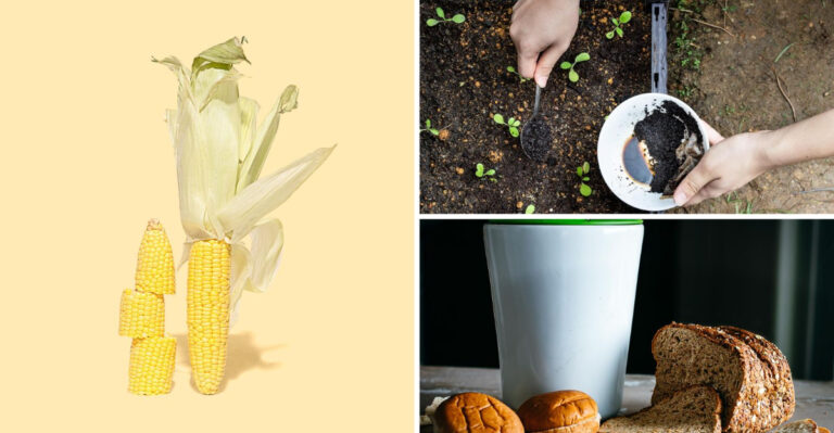 19 Secret Kitchen Scraps That Composting Experts Don’t Want You to Know
