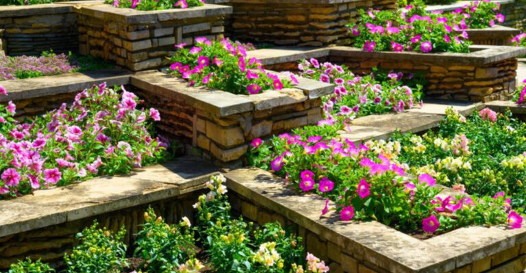 20 Best Drought-Tolerant Landscaping Ideas for Dry Climates