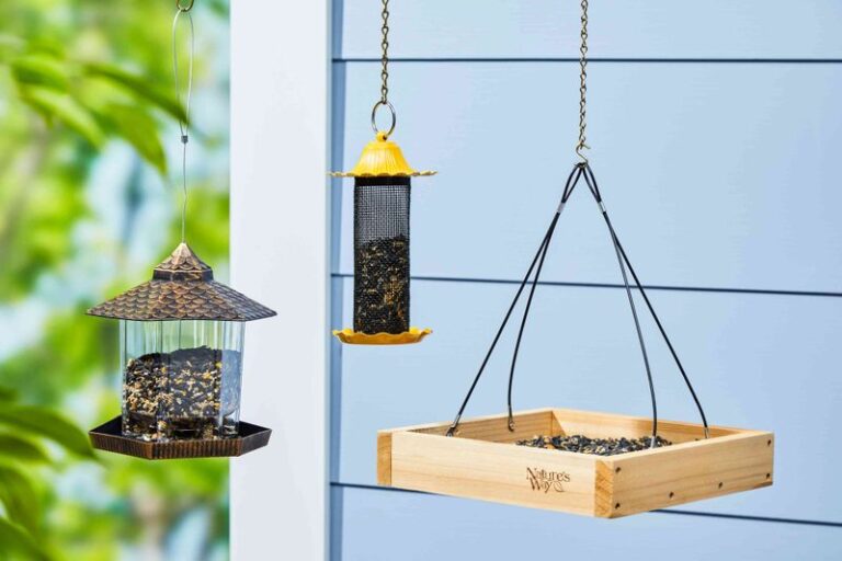 20 Brilliant Ways How To Attract Birds To A Feeder In Your Yard (And 2 ...