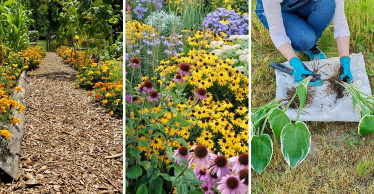 20 Budget-Friendly Landscaping Ideas
