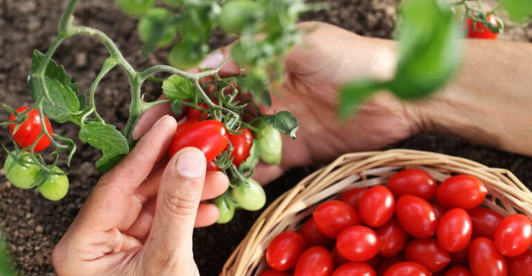 20 Underrated Gardening Tasks That Eat Up All Your Time