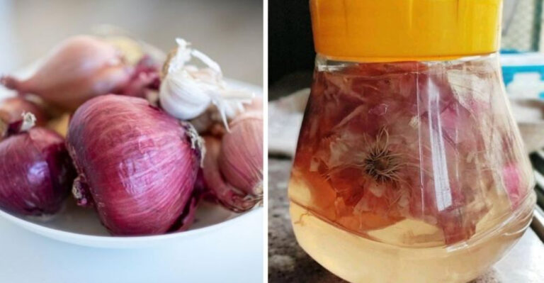 20 Weird but Effective Ways to Save a Dying Plant