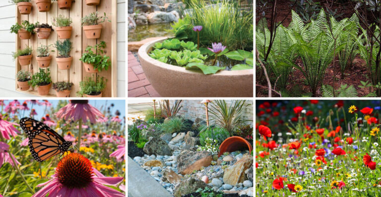20 simple ideas for neglected or difficult garden areas