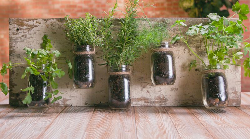 Mason Jar Herb Garden