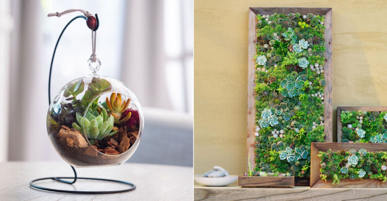 21 Genius Vertical Garden Ideas for Renters