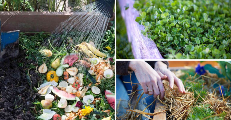 21 Practical Ways to Enhance Soil Quality for Your Vegetable Garden