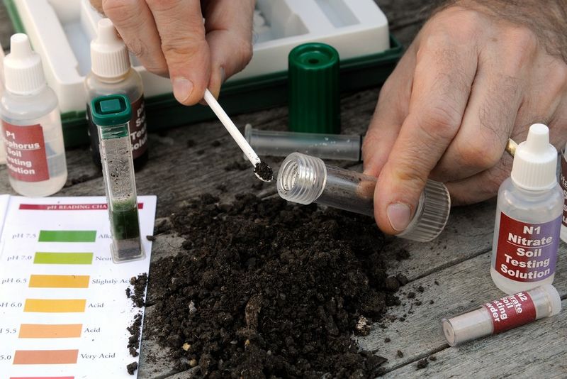 Soil & Prep Secrets - Test Your Soil