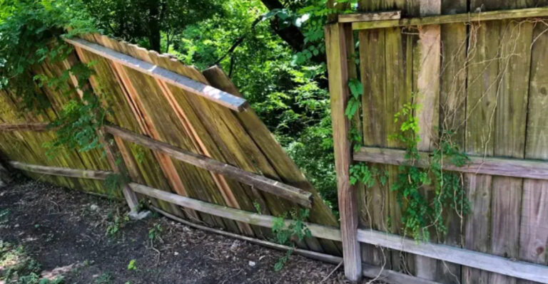 22 Common Landscaping Mistakes Realtors Notice All the Time