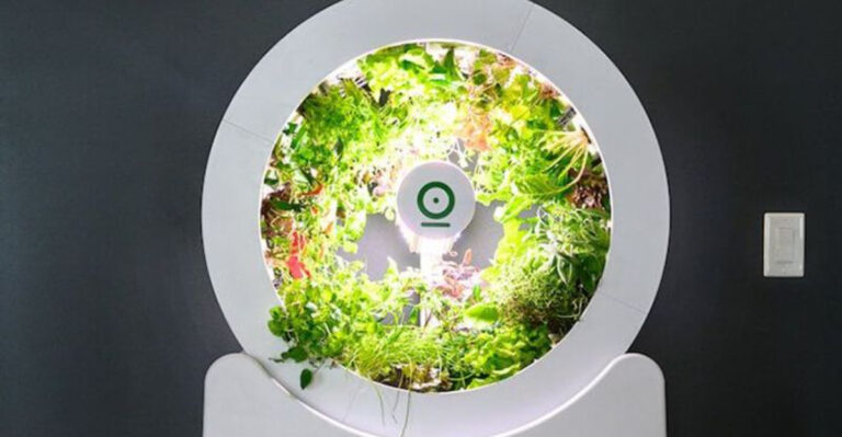 22 Smart Garden Gadgets That Feel Like Sci-Fi