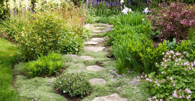 24 Backyard Garden Features That Add Wow-Factor Without Huge Costs