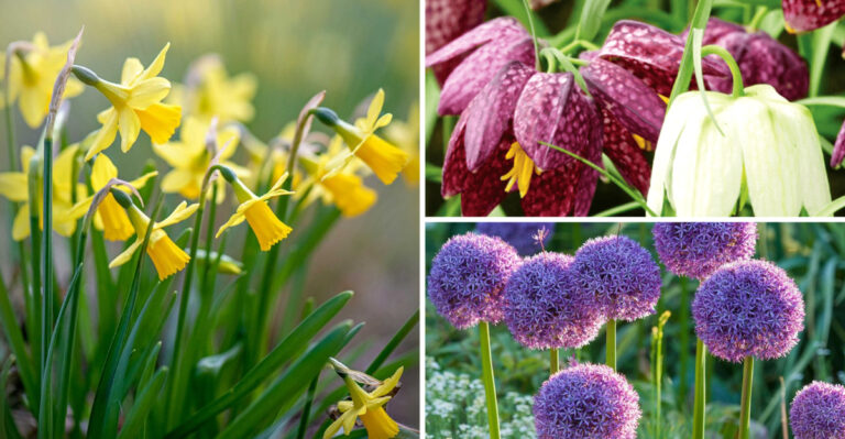 28 Amazing Plants That Keep Squirrels Out Of Your Garden For Good