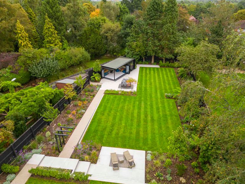 Strategic Tree Placement