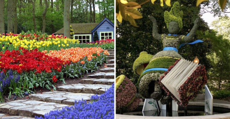 31 Landscaping Moves Revealed by Million Dollar Home Designers