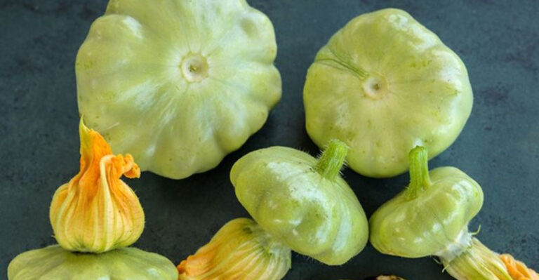 5 Overrated Summer Squash to Avoid – And 13 Hidden Gems Instead