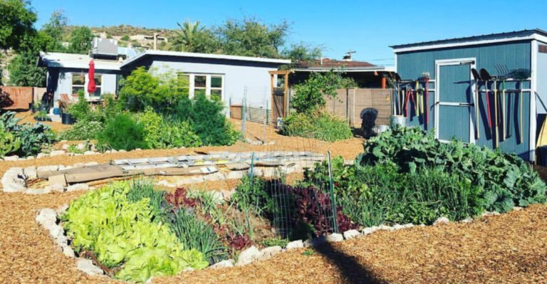 9 Watering Mistakes That Kill Plants Fast in Arizona’s Desert Heat