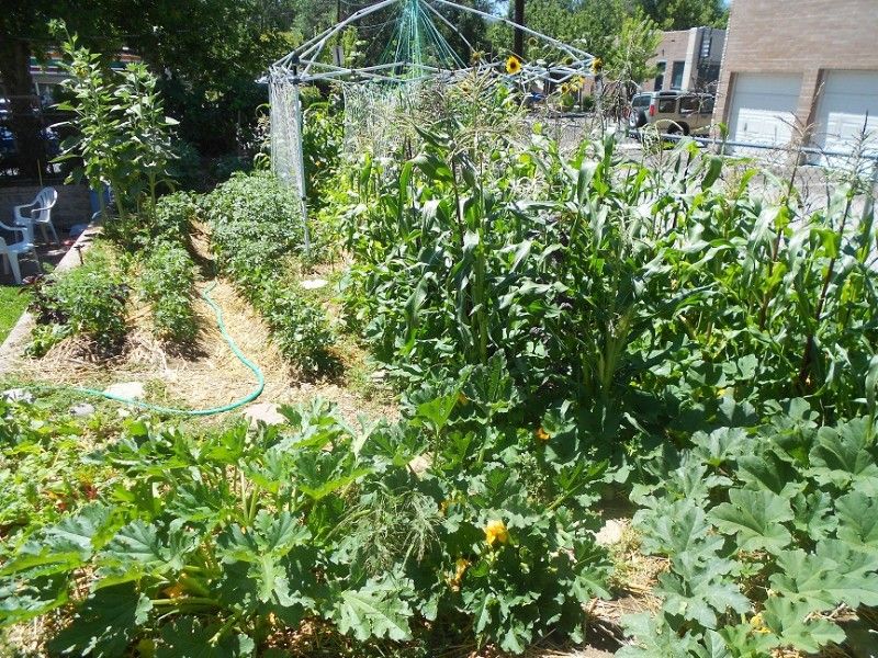 10. Rotation and Soil Health