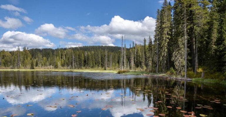 A Fairytale-Like Garden Trail in Oregon That Feels Like Stepping Into a Fantasy Novel
