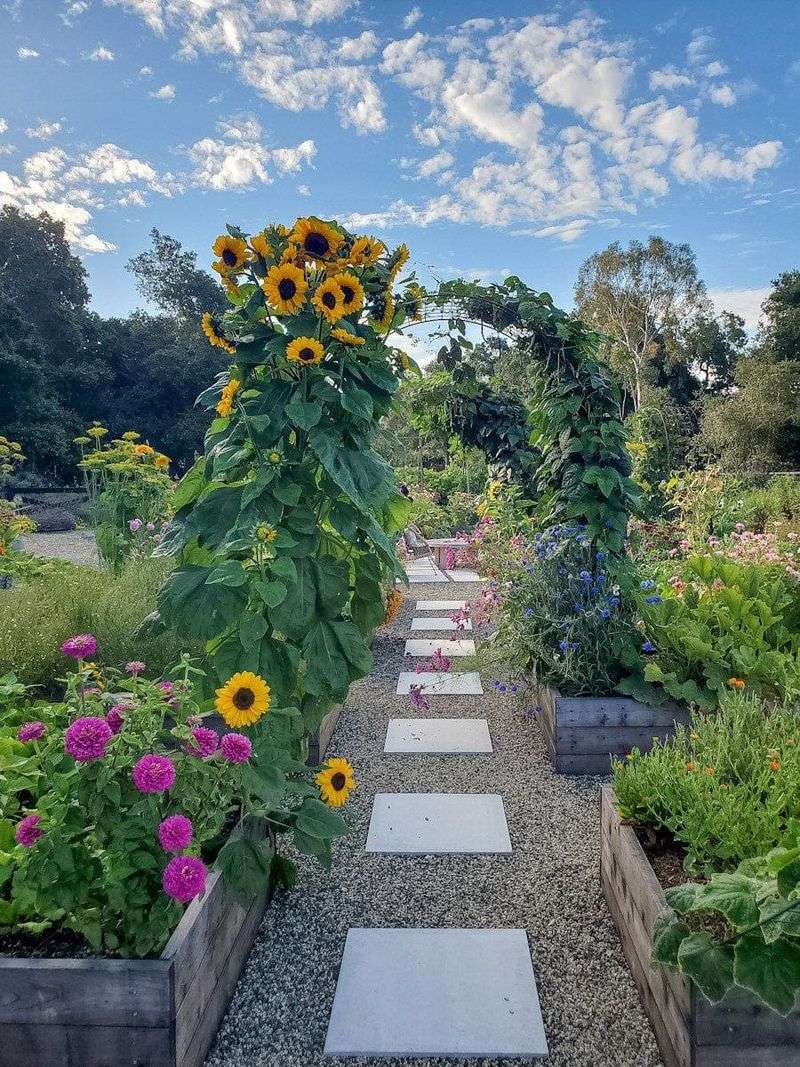 Choose Heat-Tolerant Plant Varieties