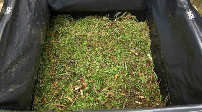 Using Too Many Grass Clippings