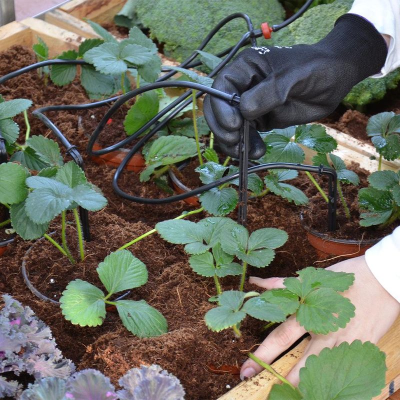Install a Drip Irrigation System