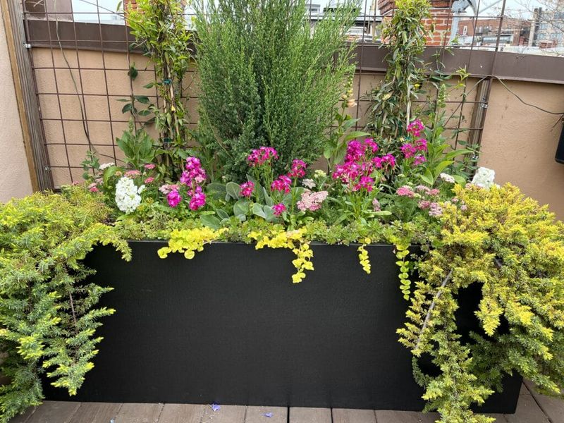 Urban Gardening Solution