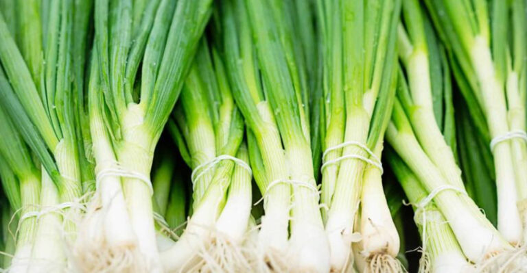 Alaska Gardeners Swear by These Fast-Growing Vegetables for a Short Summer