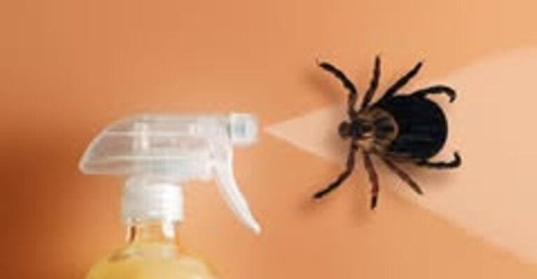 All-Natural Homemade Tick Spray: 7 Simple Steps to Keep Ticks Off People & Pets!