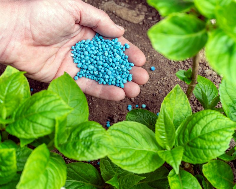 Balanced Fertilization