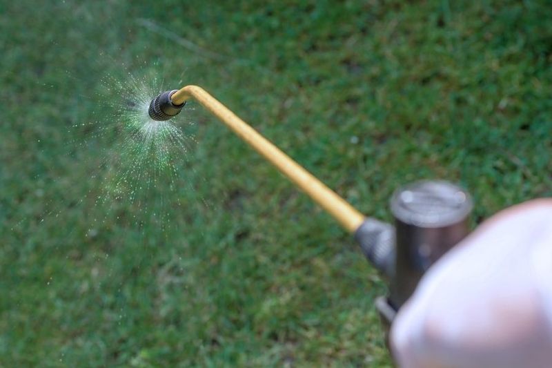 Fungal Disease Prevention Spray