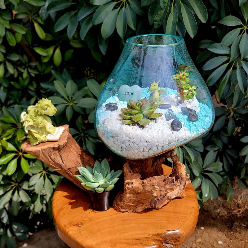 Sleek Glass Terrariums