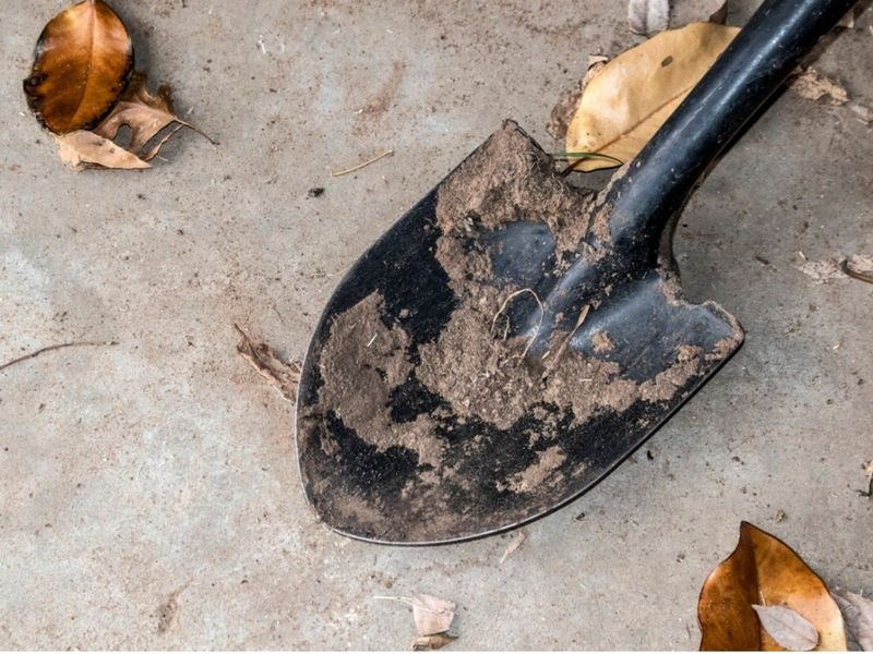 Clean Tools Before Sharpening