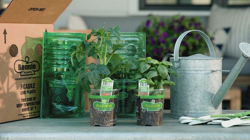 Natural Surveillance