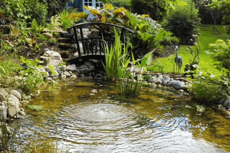 Naturalistic Pond Features