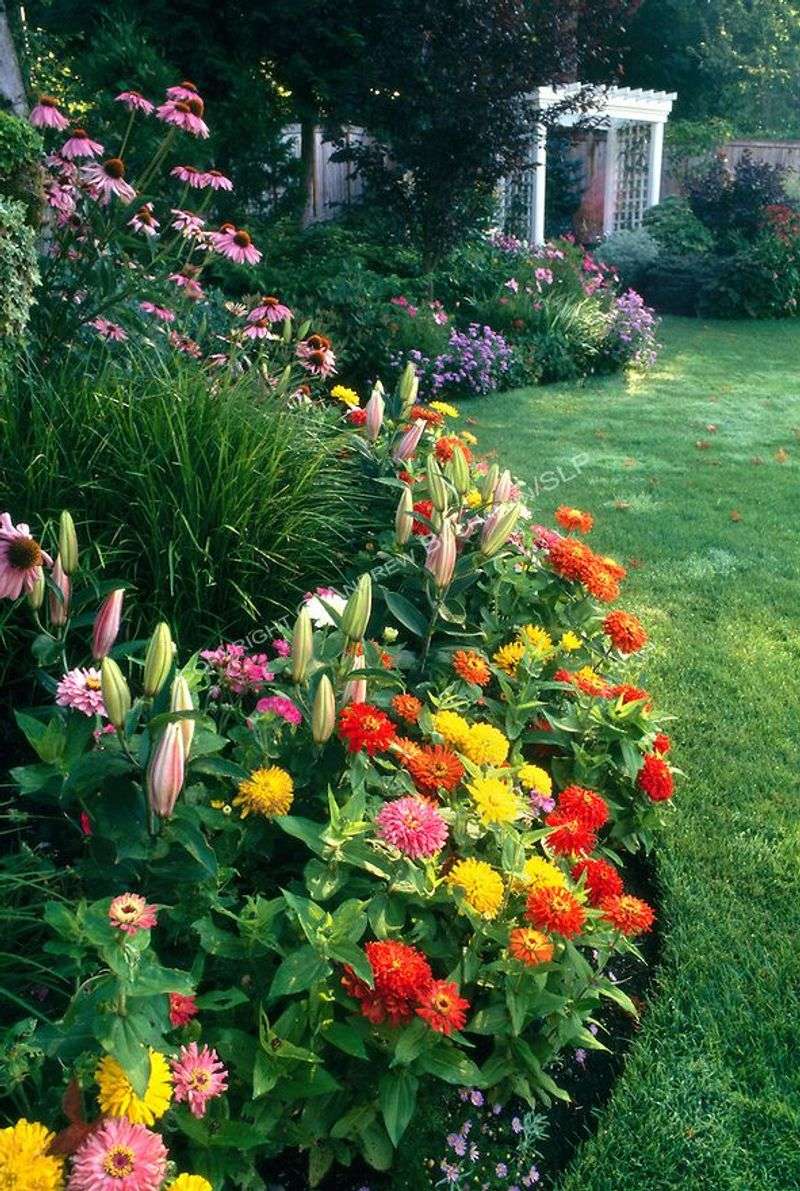 Colorful Annuals Border
