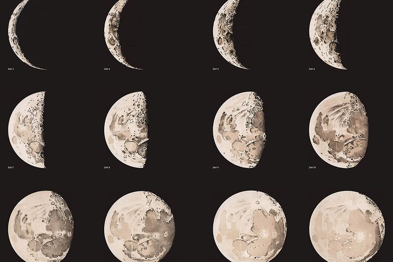 Planting by the Moon