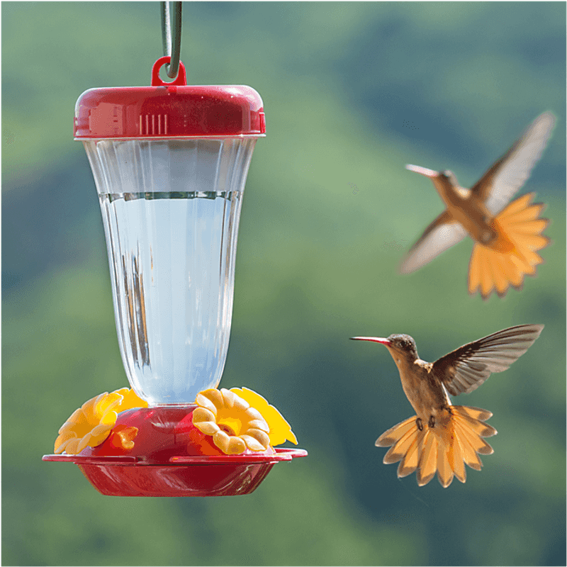 Don’t Overfill the Feeder