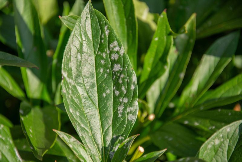 Regularly Check for Diseases