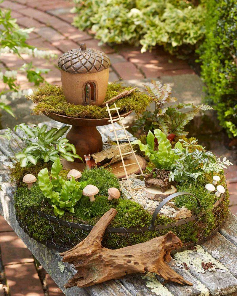 Fairy Garden