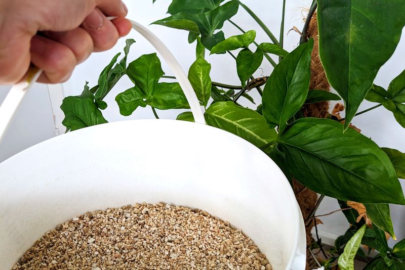 Vermiculite-Enhanced Mix