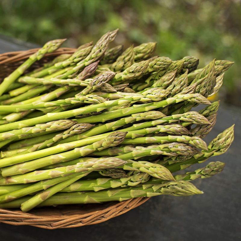 Asparagus