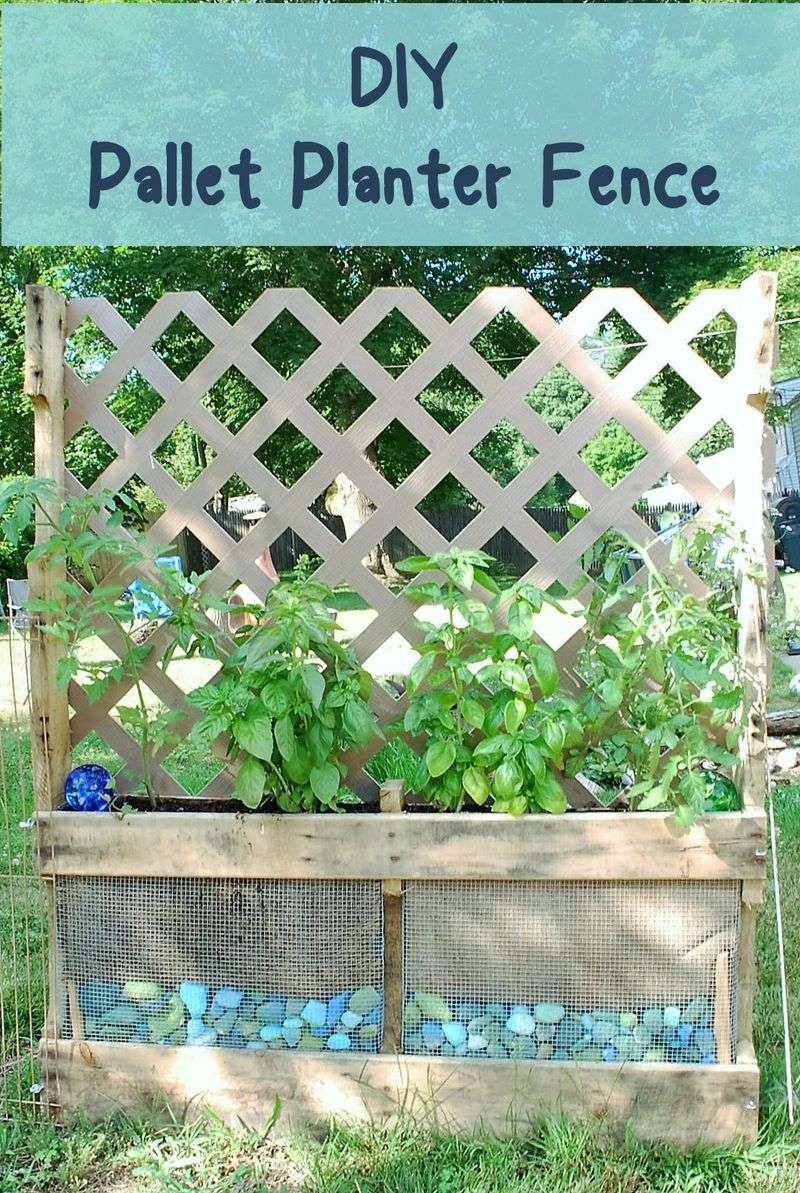 Pallet Trellis