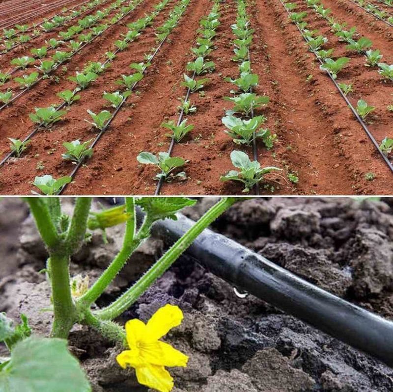 Drip Irrigation