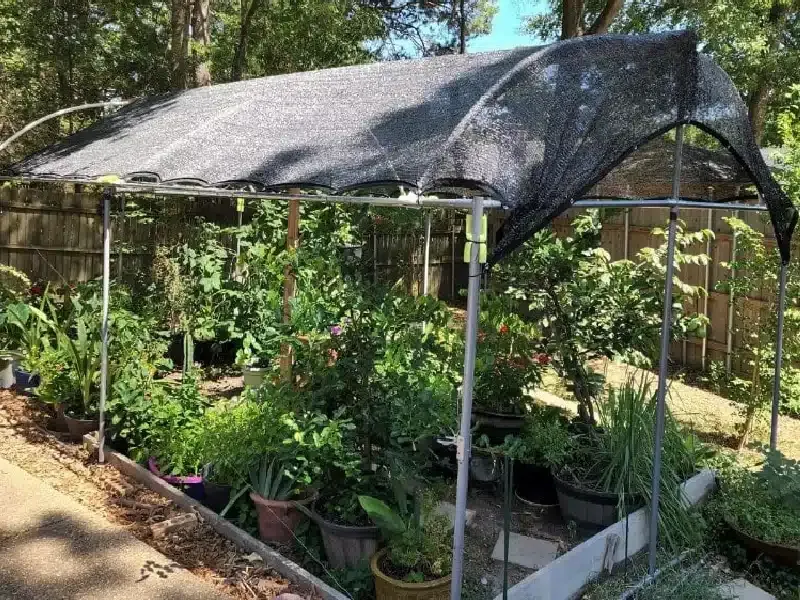 Shade Management Strategies