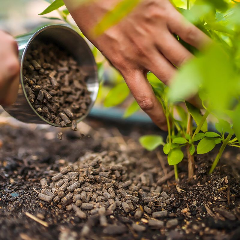 Slow-Release Organic Pellets